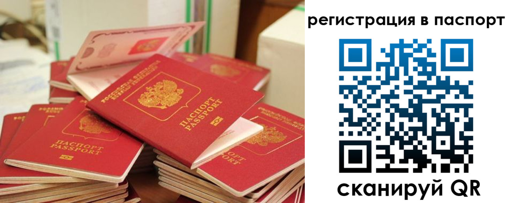 временная регистрация купить в Кингисеппе